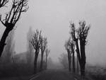 Nebbia