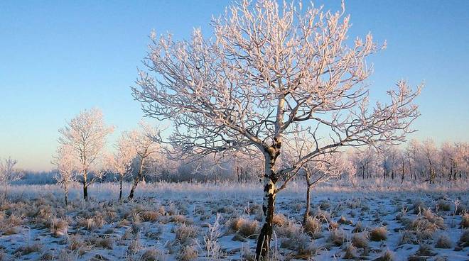 gelo, neve