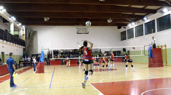 Pavidea Volley