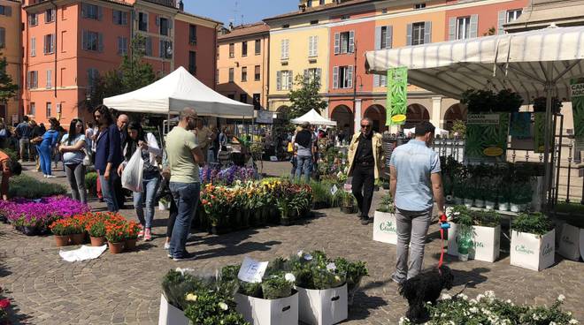 Piacenza in fiore 