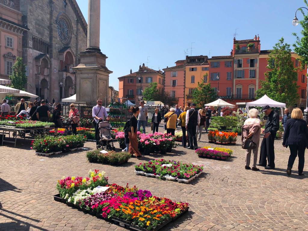 Piacenza in fiore 