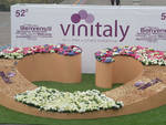 Vinitaly