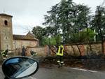 Alberi caduti in provincia di Piacenza