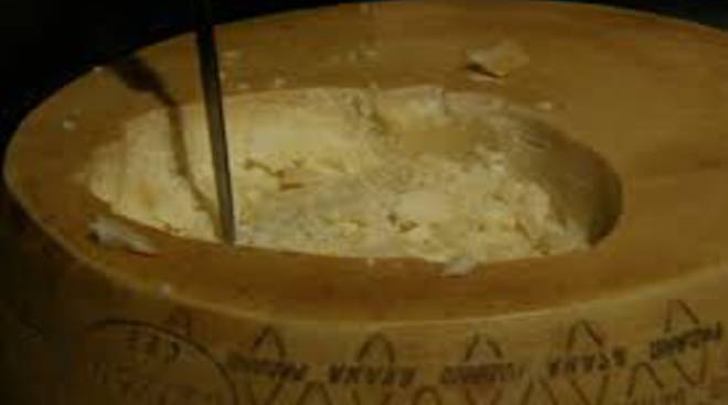 grana padano