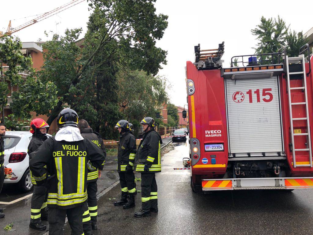 Maltempo in città, cade albero a Barriera Torino