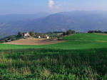 Autunno verde a Piacenza