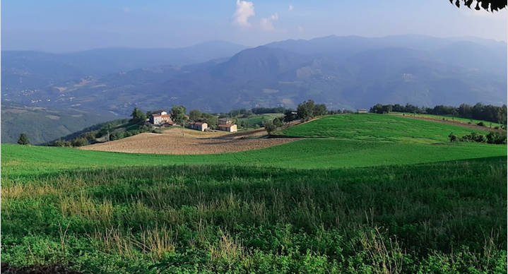 Autunno verde a Piacenza