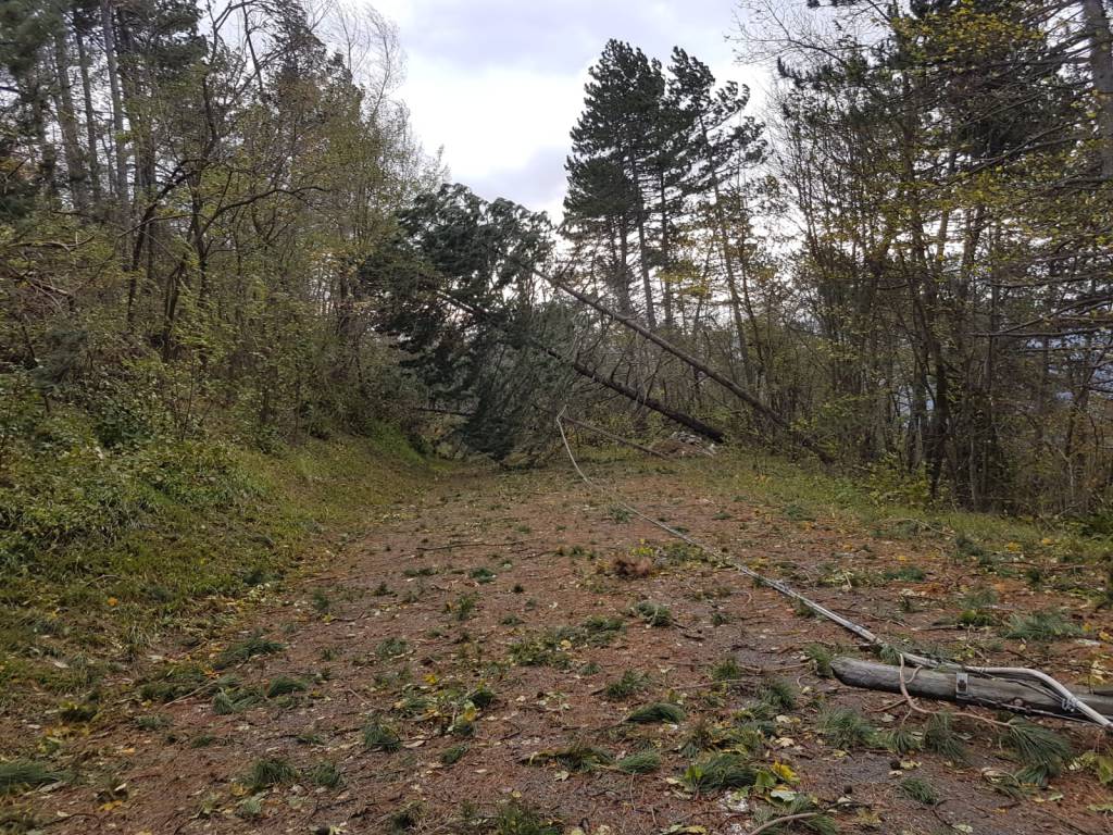 Maltempo e vento in Provincia