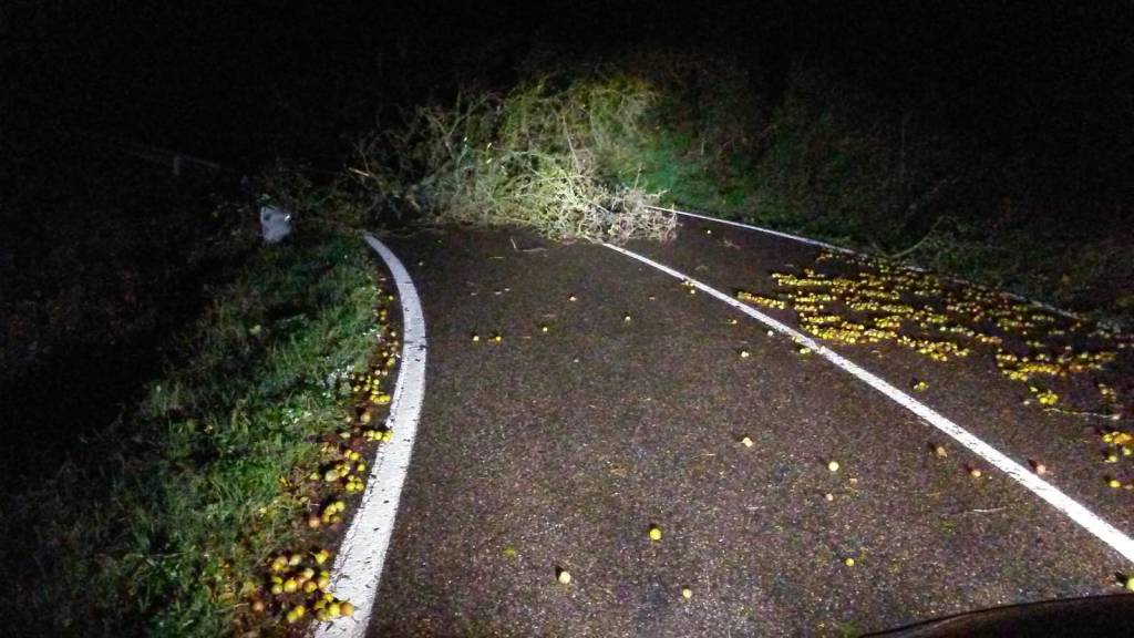 Maltempo e vento in Provincia