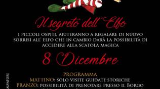 Il segreto dell\'elfo