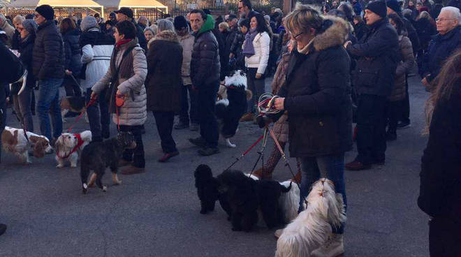 Corteo Animali Sant'Antonio