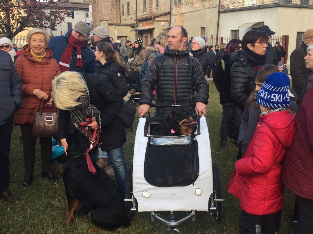 Il Corteo degli animali a Sant'Antonio