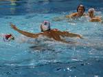 Piacenza Pallanuoto 2019