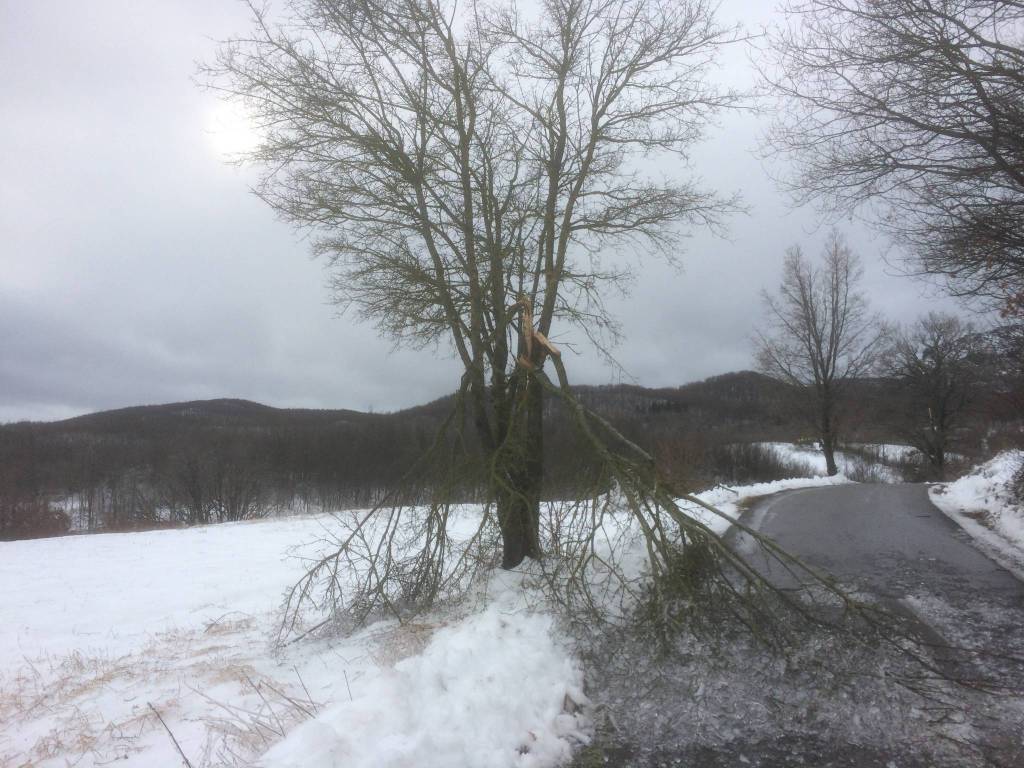 Il gelicidio in alta Val d'Arda (Morfasso)