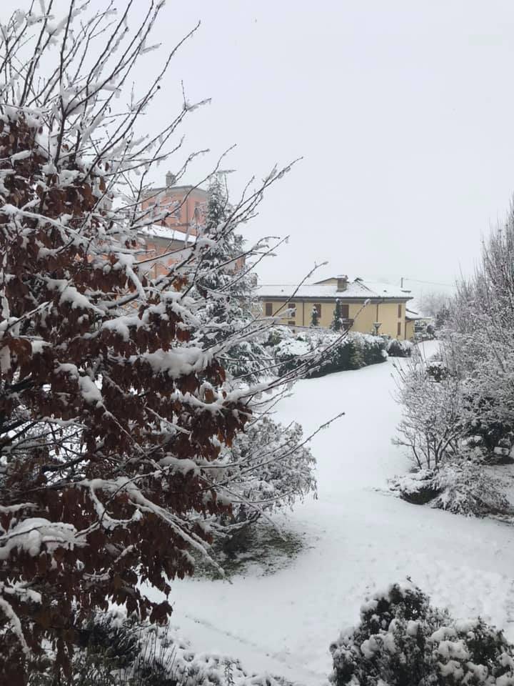 nevicata a Piacenza 1 febbraio