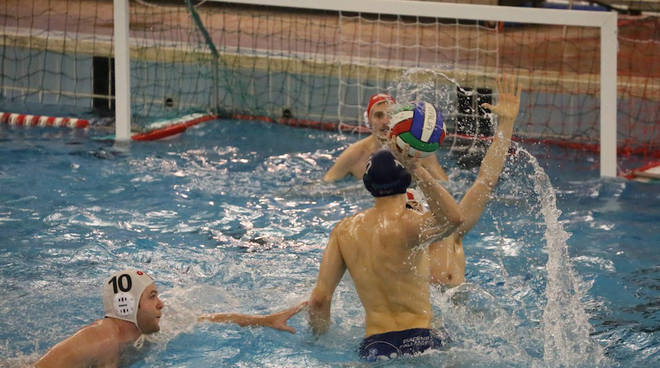 Piacenza Pallanuoto