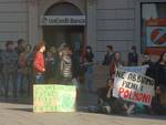 studenti in piazza fridayforfuture