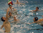 Everest Piacenza Pallanuoto