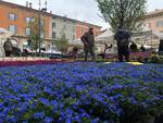 Piacenza in fiore