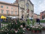 Piacenza in fiore