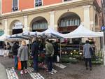 Piacenza in fiore