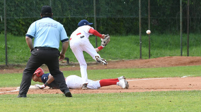Piacenza Baseball 2019