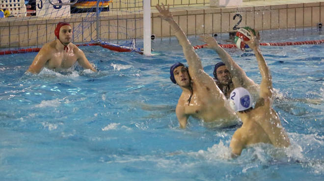 Piacenza Pallanuoto