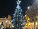 Albero di Natale