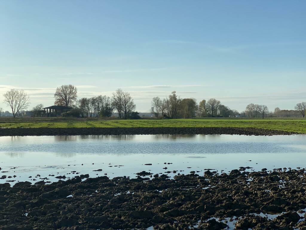 La piena del Po a Piacenza