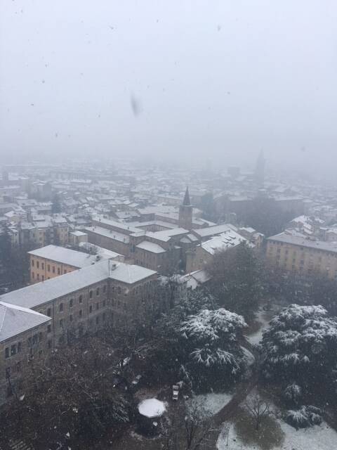 Prima nevicata in pianura dicembre 2019