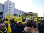 Manifestazione cimice asiatica