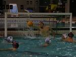 Pallanuoto piacenza 