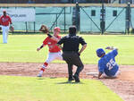 Piacenza Baseball