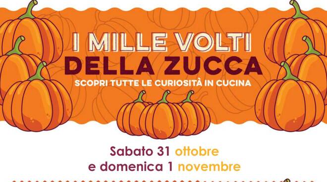 I mille volti della zucca