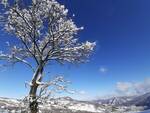 Quando il sole sposa la neve, la magia nelle foto