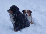 Risveglio in bianco con la neve