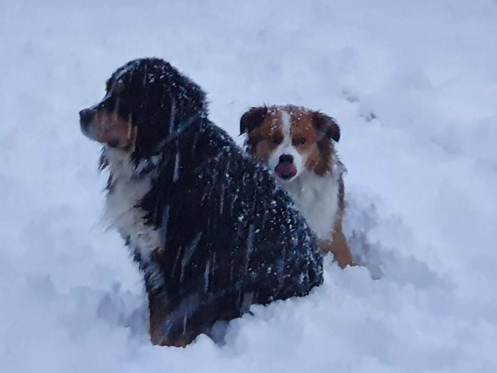 Risveglio in bianco con la neve