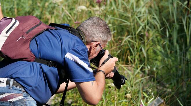 Fotografi