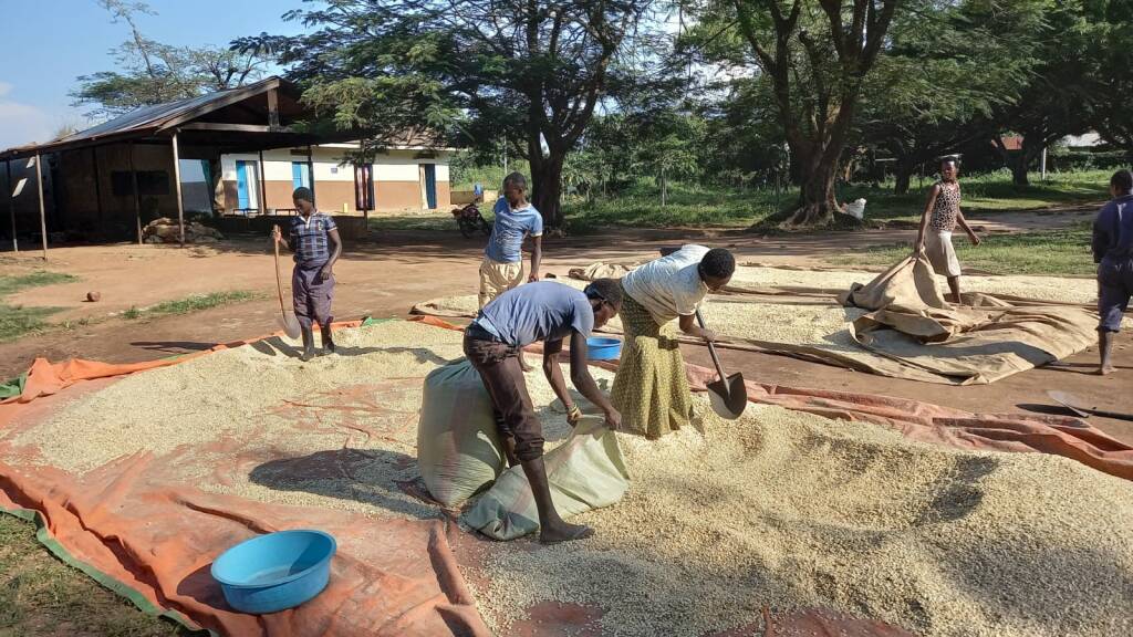 Festa in Uganda nella scuola di formazione agricola di Africa Mission