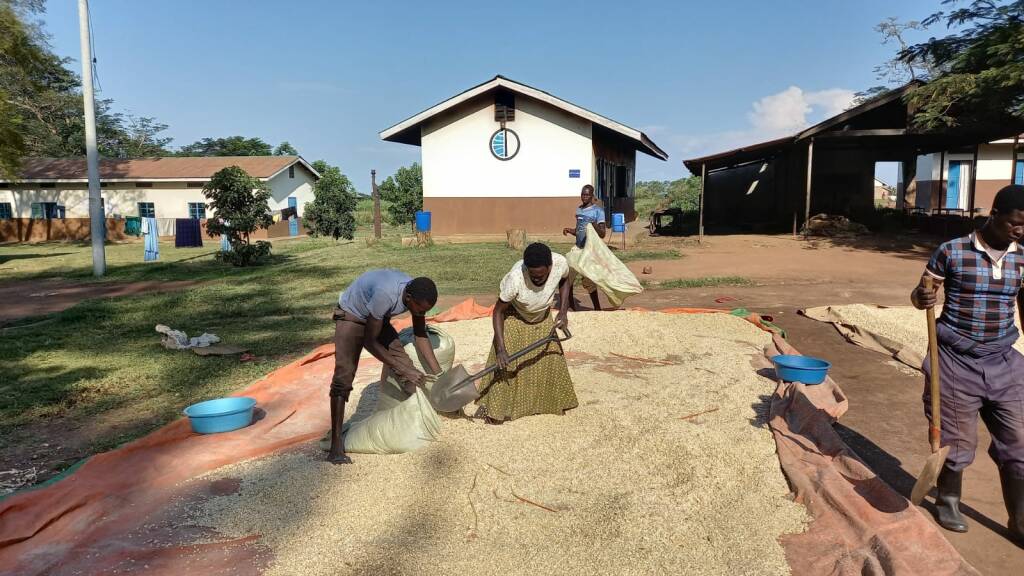 Festa in Uganda nella scuola di formazione agricola di Africa Mission