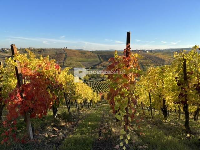 I colori dell autunno da Ziano