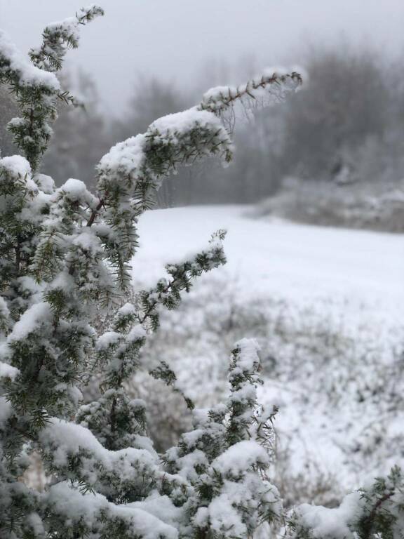 Neve al Passo di Santa Barbara - novembre 2021