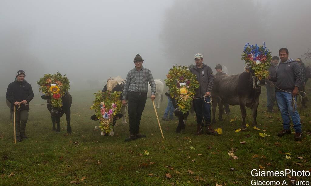 Transumanza Crociglia-Santo Stefano d'Aveto (foto di Giacomo Turco)