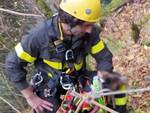 vigili del fuoco dirupo Casale di Brugneto