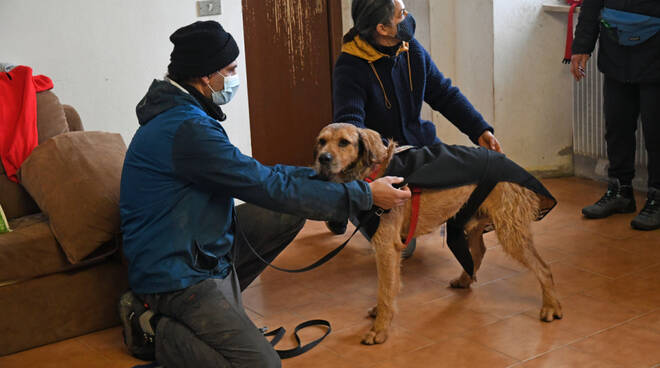 canile Santo Stefano