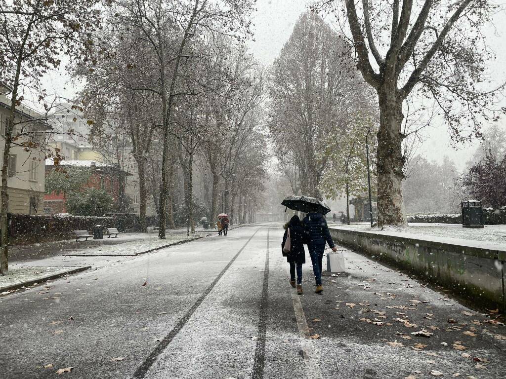 Immacolata sotto la neve