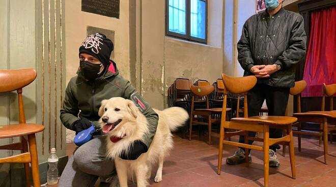 Benedizione animali in San Dalmazio