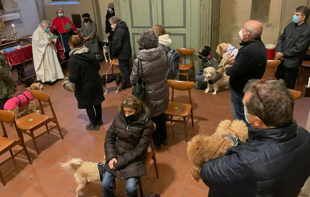 Benedizione animali in San Dalmazio