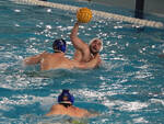 Piacenza Pallanuoto