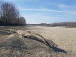 Il Fiume Po a Polesine Zibello (foto di Paolo Panni)